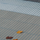 mutina osso + bottone