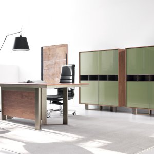 Lloyd finish palette med valnød eukalyptus FENIX farver og højglans
