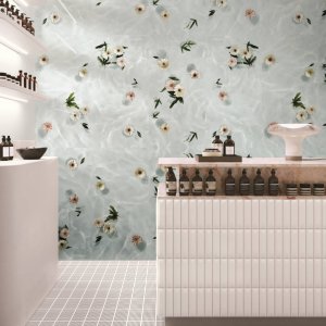 De fem Jane-plader i serien Paper41 Pro