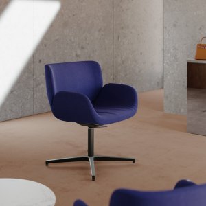 Stolen set fra siden