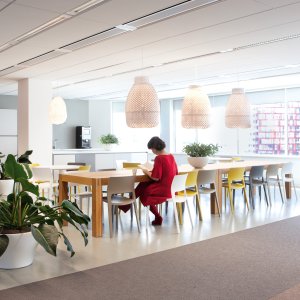 Designerstole fra Arper: Juno 02 kollektionen
