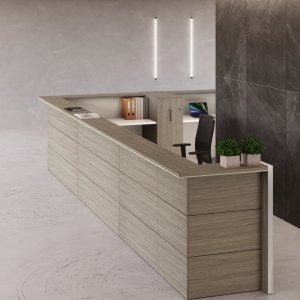 Receptionsskranke Nice i lobbyen hos en virksomhed i København