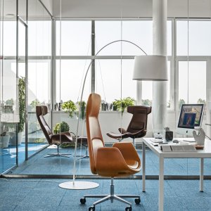 Tofarvet Nordic med kontrasterende skaller