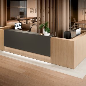 Receptionsdisk Z2 fra Quadrifoglio med svingdør i kompositionen