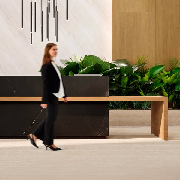 Kyo Reception